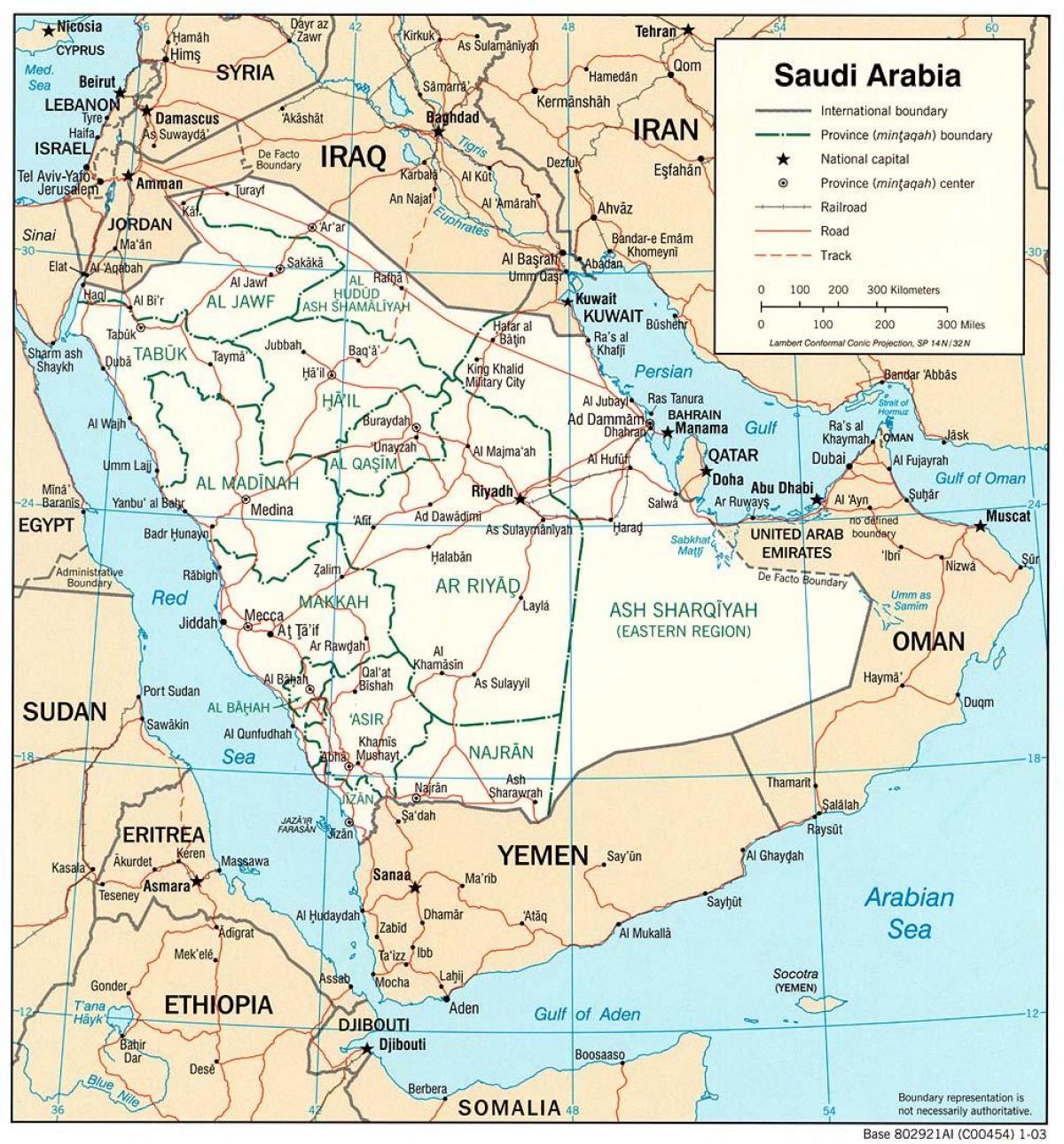 Suudi Arabistan yol haritası