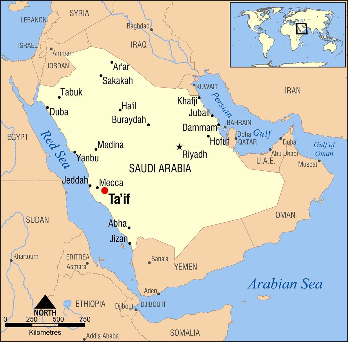 taif KSA göster